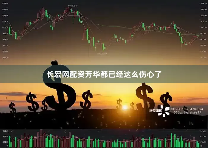 长宏网配资芳华都已经这么伤心了