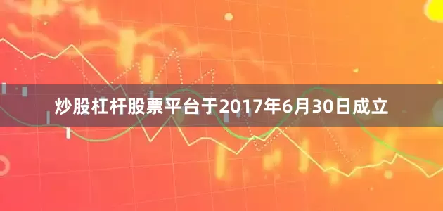炒股杠杆股票平台于2017年6月30日成立