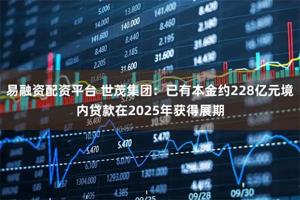 易融资配资平台 世茂集团：已有本金约228亿元境内贷款在2025年获得展期
