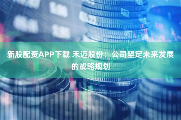 新股配资APP下载 禾迈股份：公司坚定未来发展的战略规划